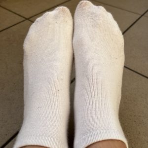 IMG 2542