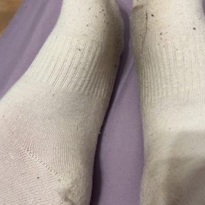 Weiße Socken - 2 Tage alt 🩷
