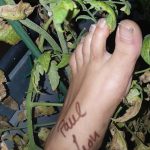 Verlockung, die unter die Haut geht